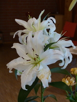 Foto: Dr. Peter Müller